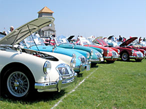 Mackinaw Bridge View