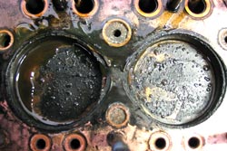 Head Gasket